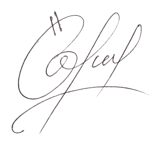 Firma Digital